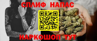 jwh Нальчик