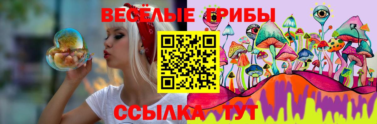 Верхняя Пышма  Псилоцибиновые грибы MAGIC MUSHROOMS  Псилоцибиновые грибы Cubensis  Вход с VPN 